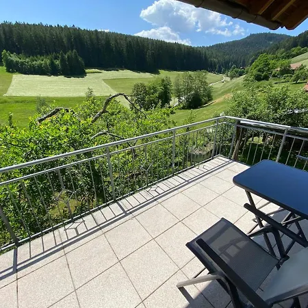 Baiersbronn, Schwarzwald, Aussicht, 2 Zimmer, Sonne *