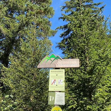 Baiersbronn, Schwarzwald, Aussicht, 2 Zimmer, Sonne Baiersbronn