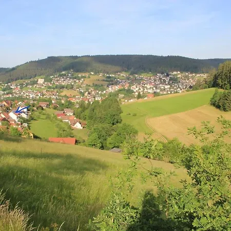 Baiersbronn, Schwarzwald, Aussicht, 2 Zimmer, Sonne Baiersbronn